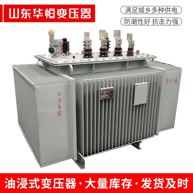 S13-10000/35南县南县南县电力变压器厂家