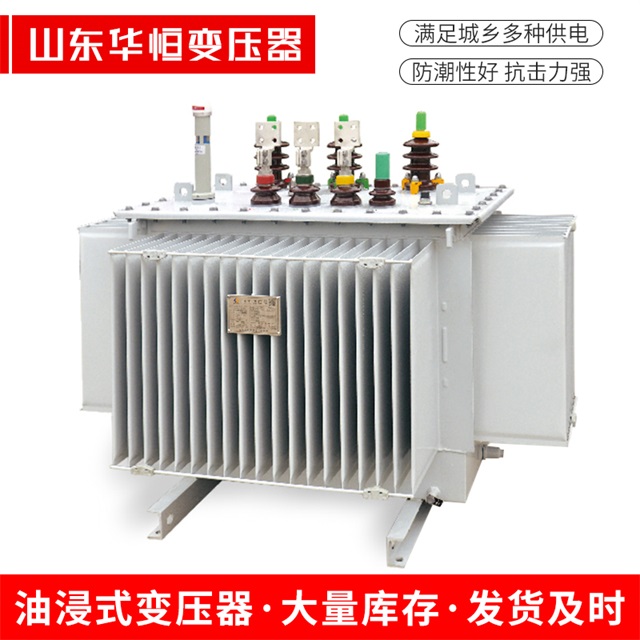 S13-10000/35南县南县南县电力变压器
